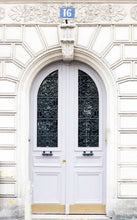 Charger l'image dans la galerie, Marseilles Double Iron Doors - Custom Pivot Door