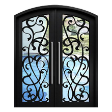 Charger l'image dans la galerie, Eros Double Iron Doors - Custom Pivot Door
